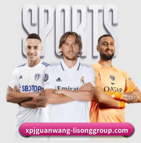 新葡京 APP