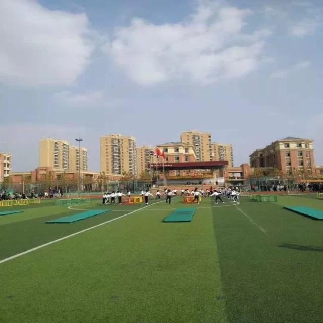 第369组赛程视角揭示国际赛场最新动态